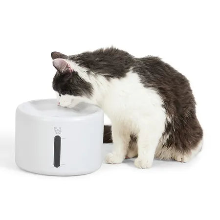 Pet Water Fountain wSpout White 2L